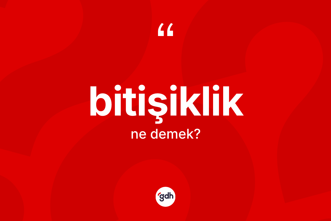 Bitişiklik kelimesinin tanımı nedir? Bitişiklik kelimesinin TDK anlamı nedir?