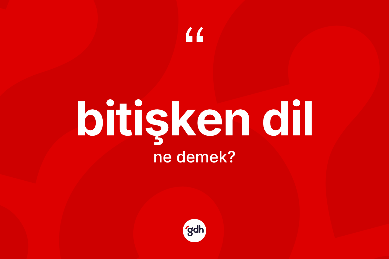 Bitişken dil kelimesinin anlamı nedir? Bitişken dilin TDK'ya göre anlamı nedir?