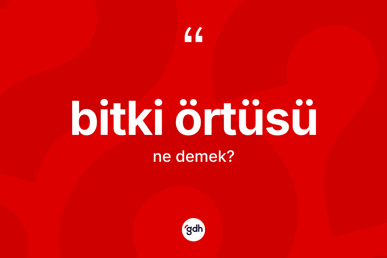 Bitki örtüsü kelimesi ne demek? Bitki örtüsünün sözlükteki anlamı nedir?
