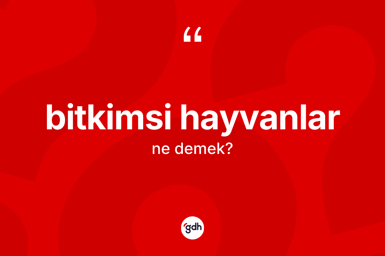 Bitkimsi hayvanlar kelimesi ne anlama gelir? Bitkimsi hayvanlar kelimesinin TDK anlamı nedir?