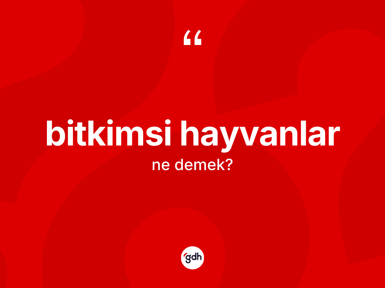 Bitkimsi hayvanlar kelimesi ne anlama gelir? Bitkimsi hayvanlar kelimesinin TDK anlamı nedir?