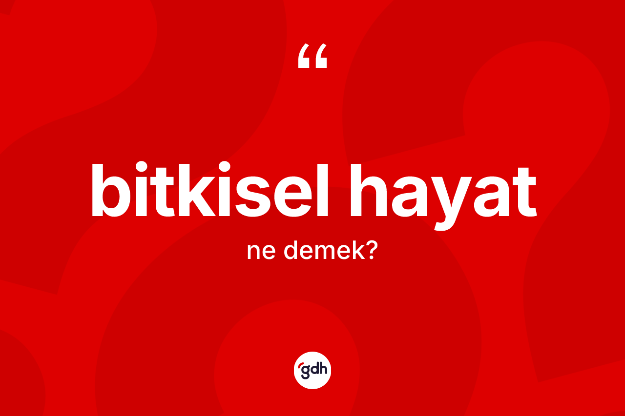 Bitkisel hayat kelimesinin anlamı nedir? Bitkisel hayatın TDK'ya göre anlamı nedir?