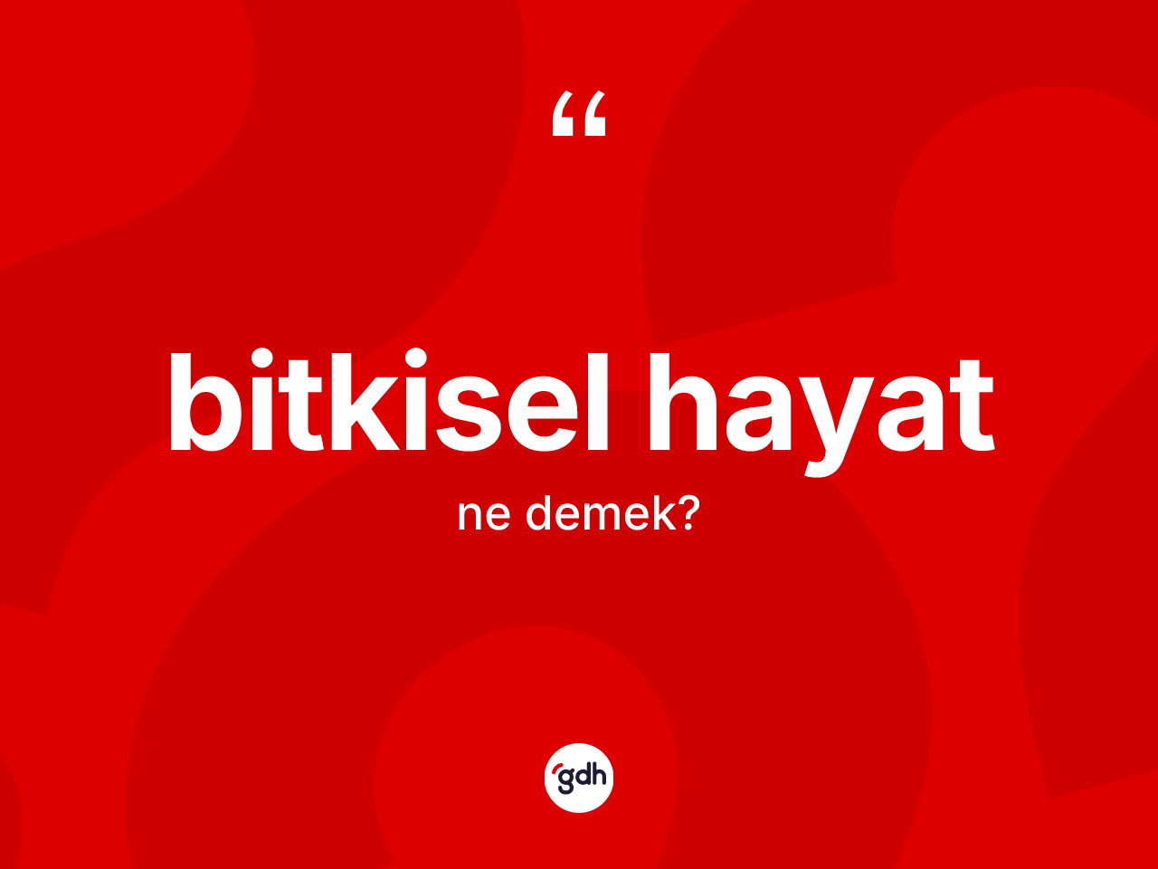Bitkisel hayat kelimesinin anlamı nedir? Bitkisel hayatın TDK'ya göre anlamı nedir?