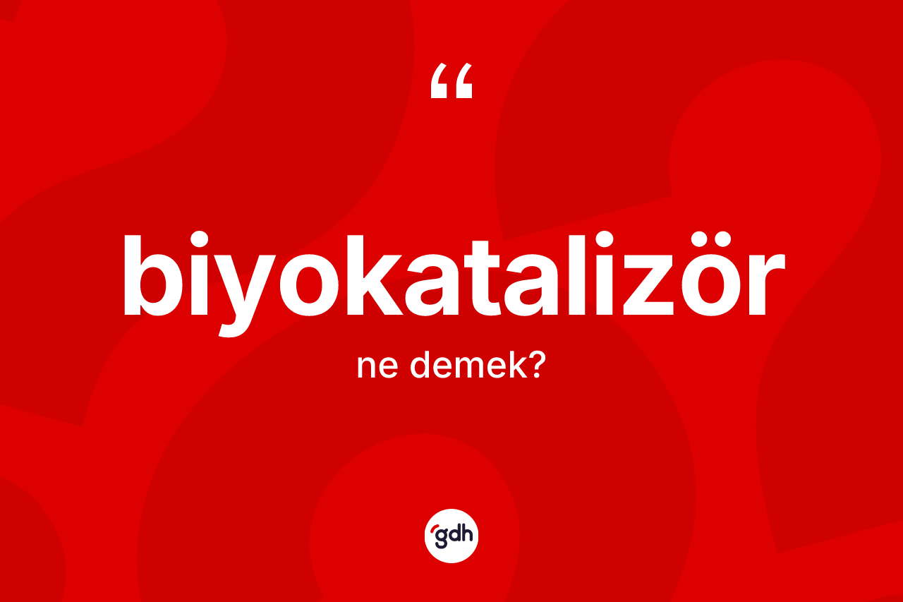 Biyokatalizör nedir? Biyokatalizörün halk arasındaki kullanımı nasıldır?