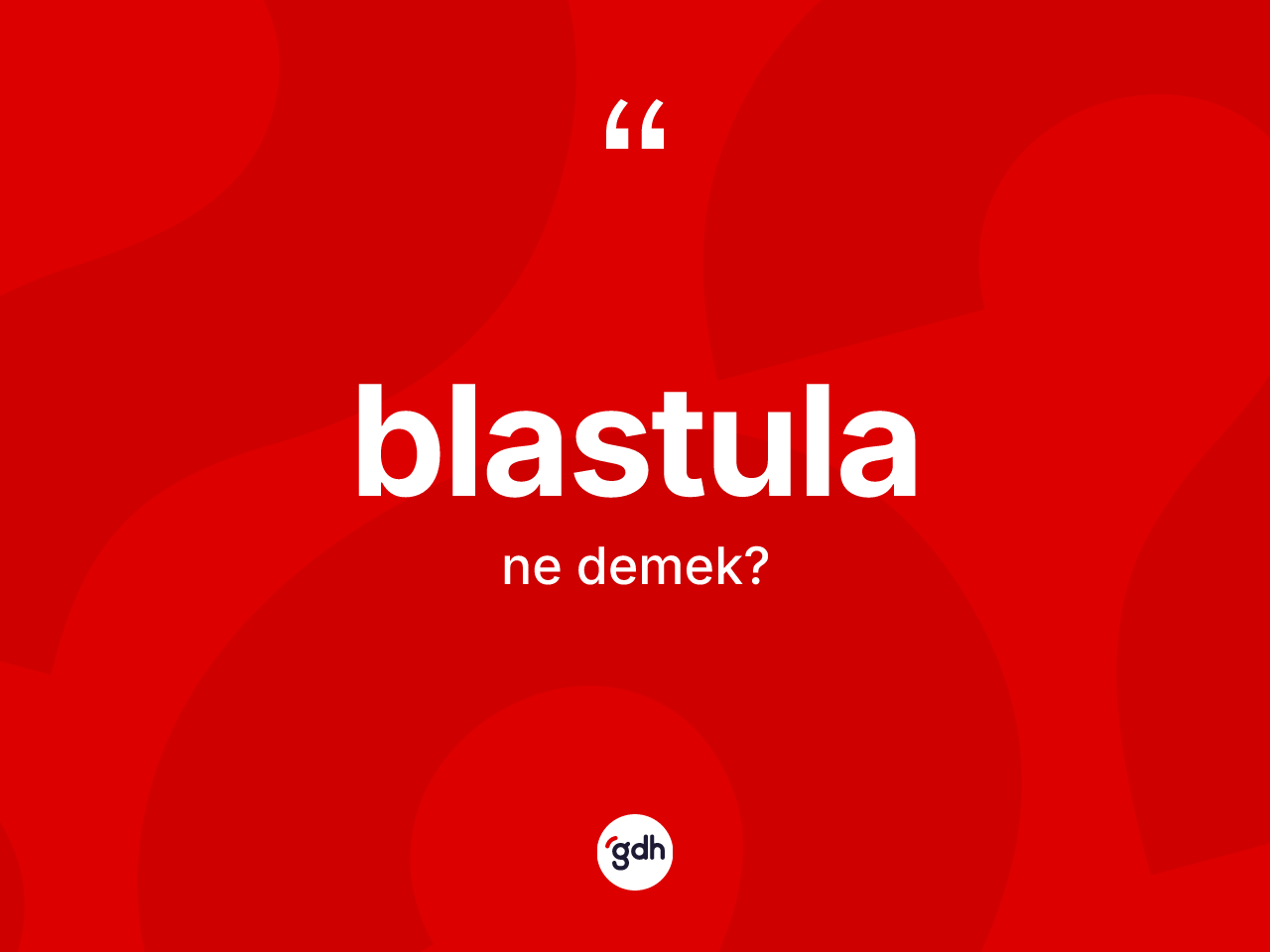 Blastula ne anlama gelir? Blastulanın TDK'ya göre anlamı nedir?
