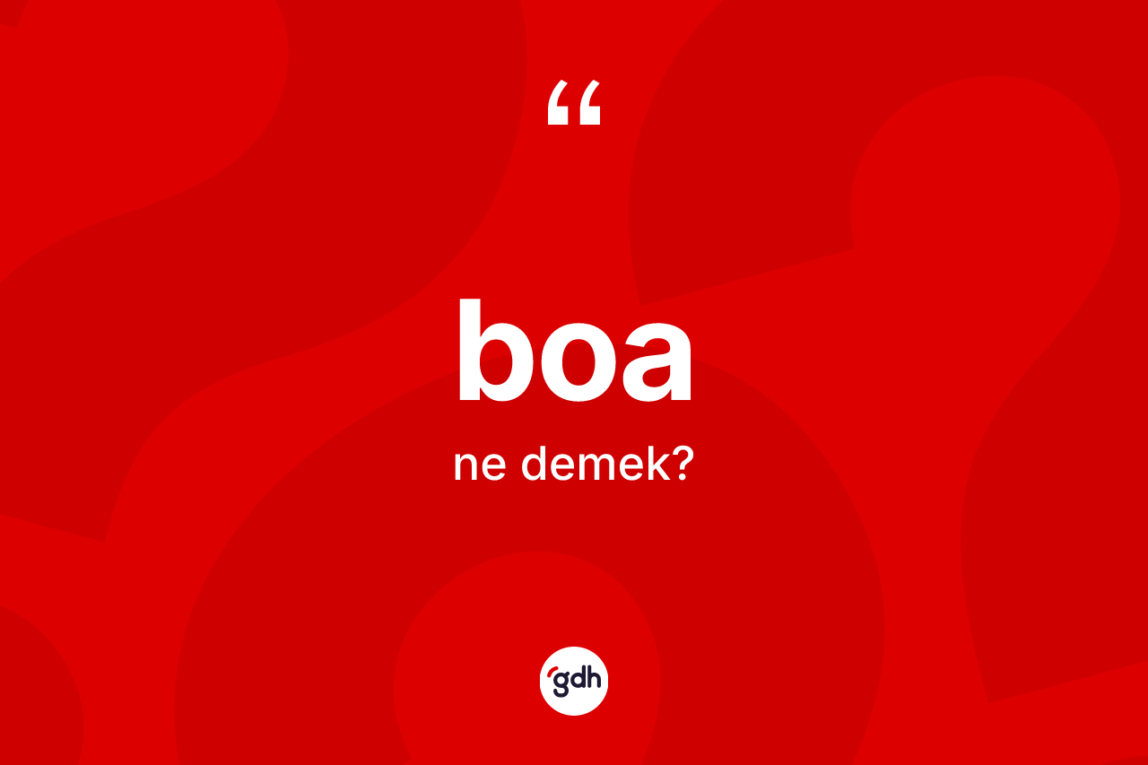 Boa kelimesi nedir? Boa kelimesinin özellikleri nelerdir?