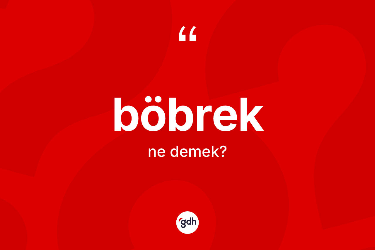 Böbrek kelimesinin anlamı nedir?