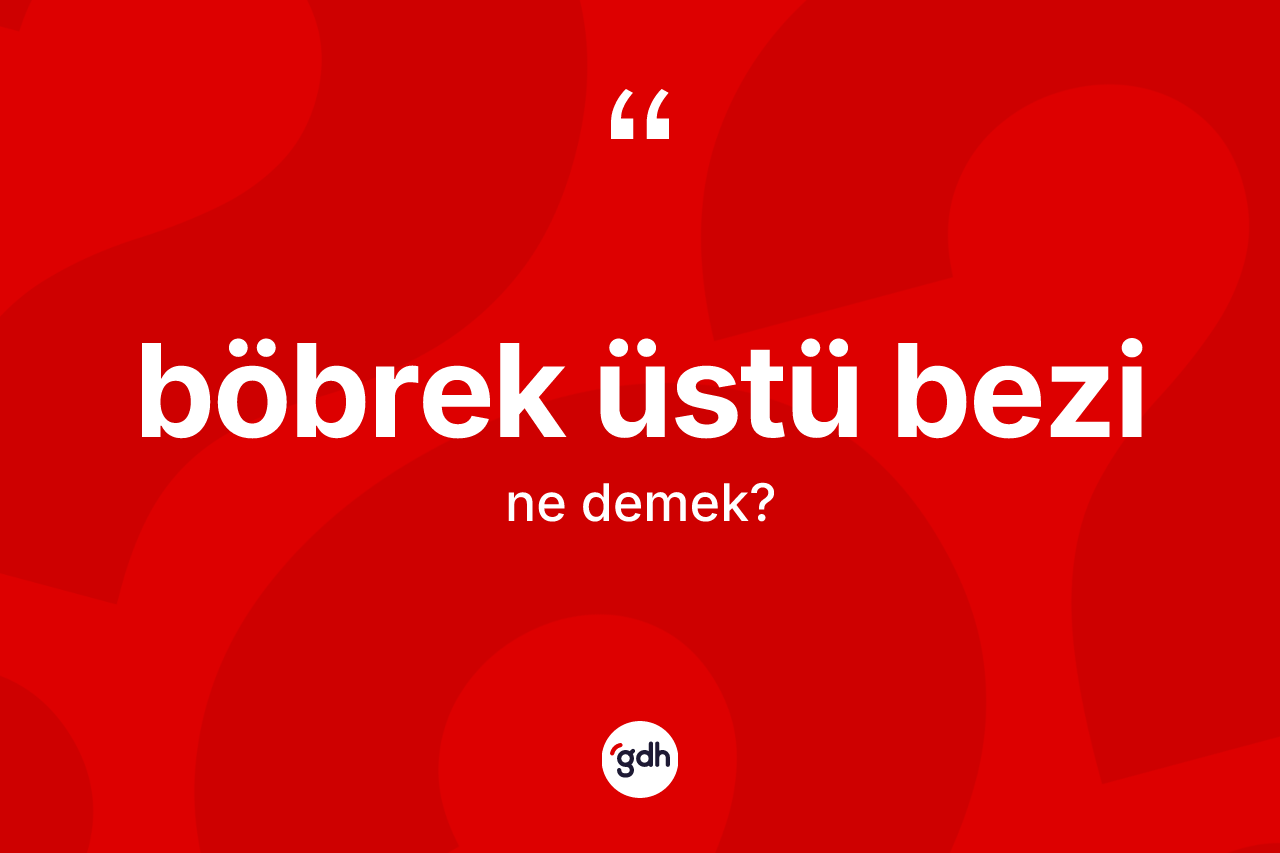 Böbrek üstü bezi kelimesinin sözlükteki tanımı nedir?