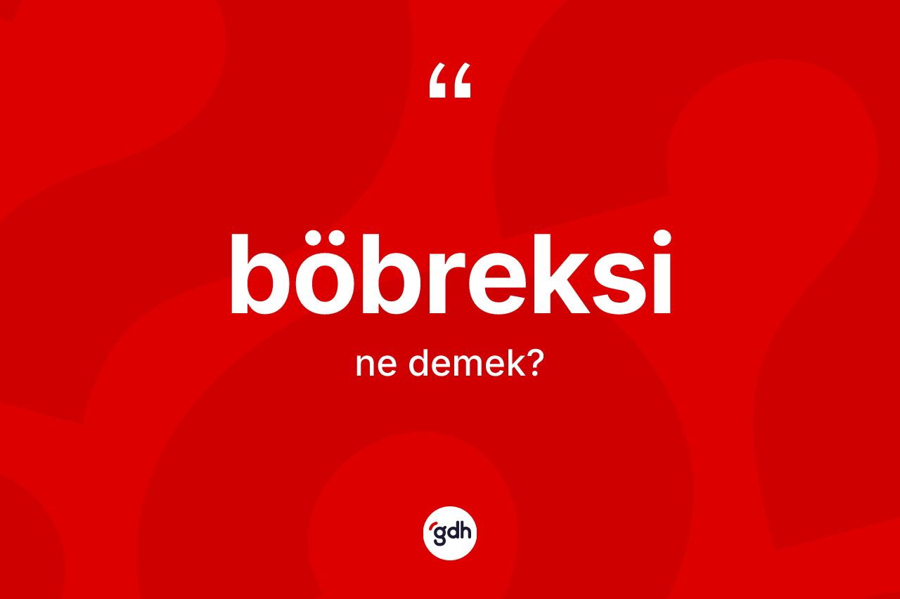 Böbreksi kelimesi nedir? Böbreksi kelimesinin kaç farklı anlamı var?