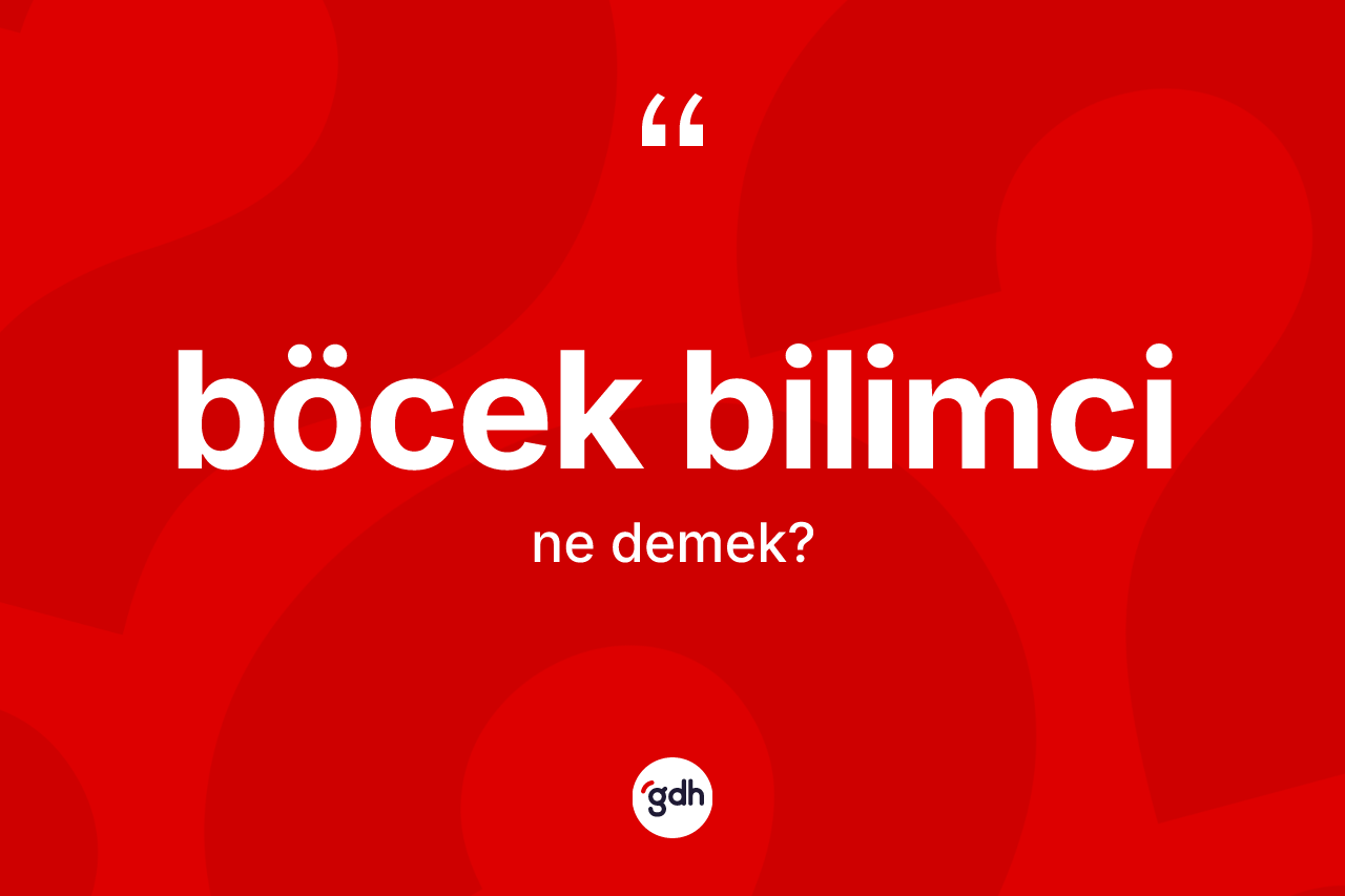Böcek bilimci kelimesinin tanımı nedir?