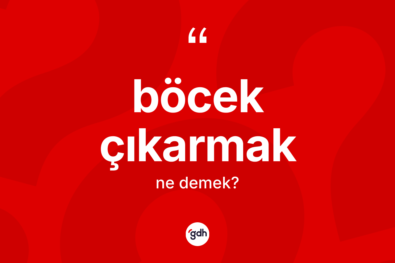 Böcek çıkarmak ne demek?