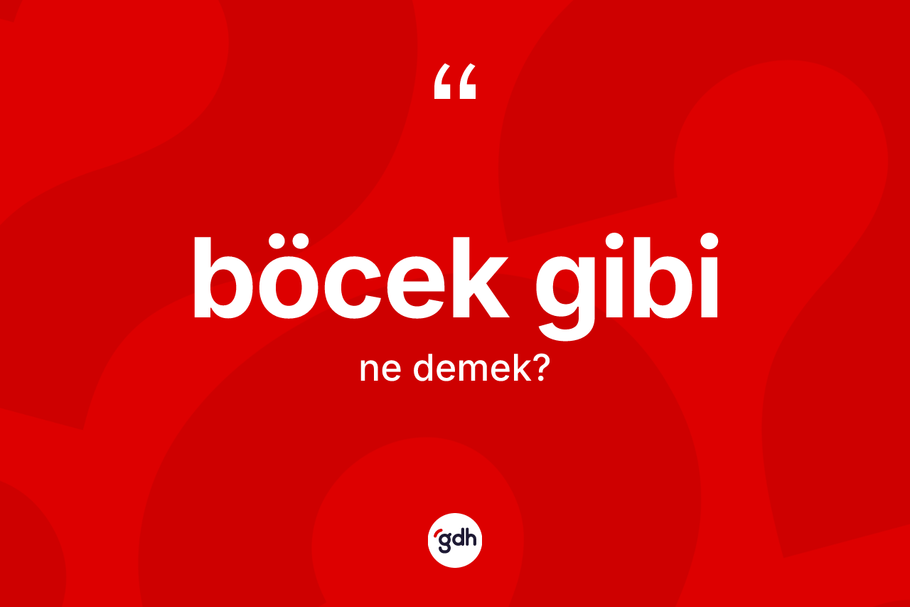 Böcek gibi ne demektir?