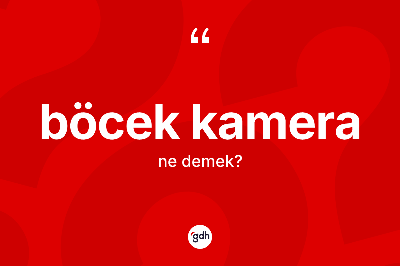 Böcek kamera kelimesinin tanımı nedir?
