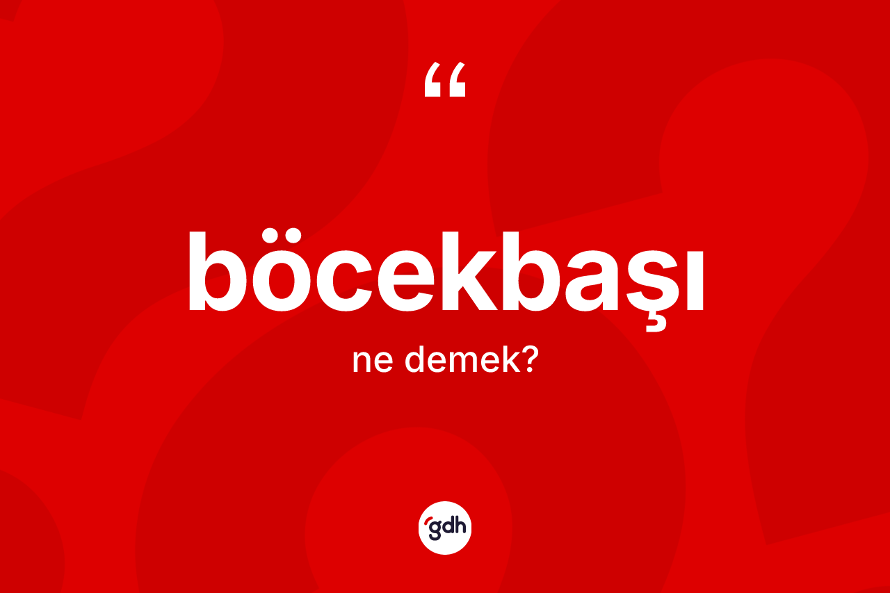 Böcekbaşı kelimesinin anlamı nedir? Böcekbaşı kelimesinin özellikleri nelerdir?