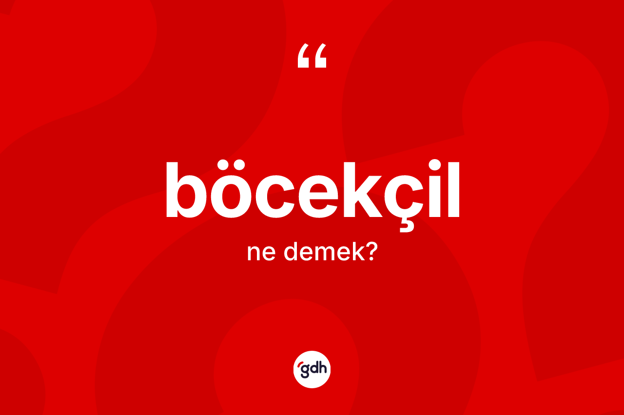 Böcekçil kelimesinin tanımı nedir? Böcekçilin TDK'ya göre anlamı nedir?