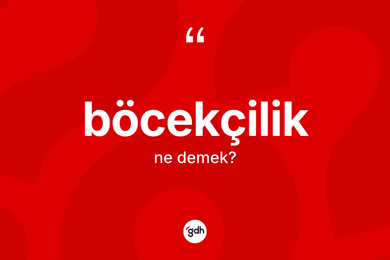 Böcekçilik kelimesinin sözlükteki tanımı nedir?