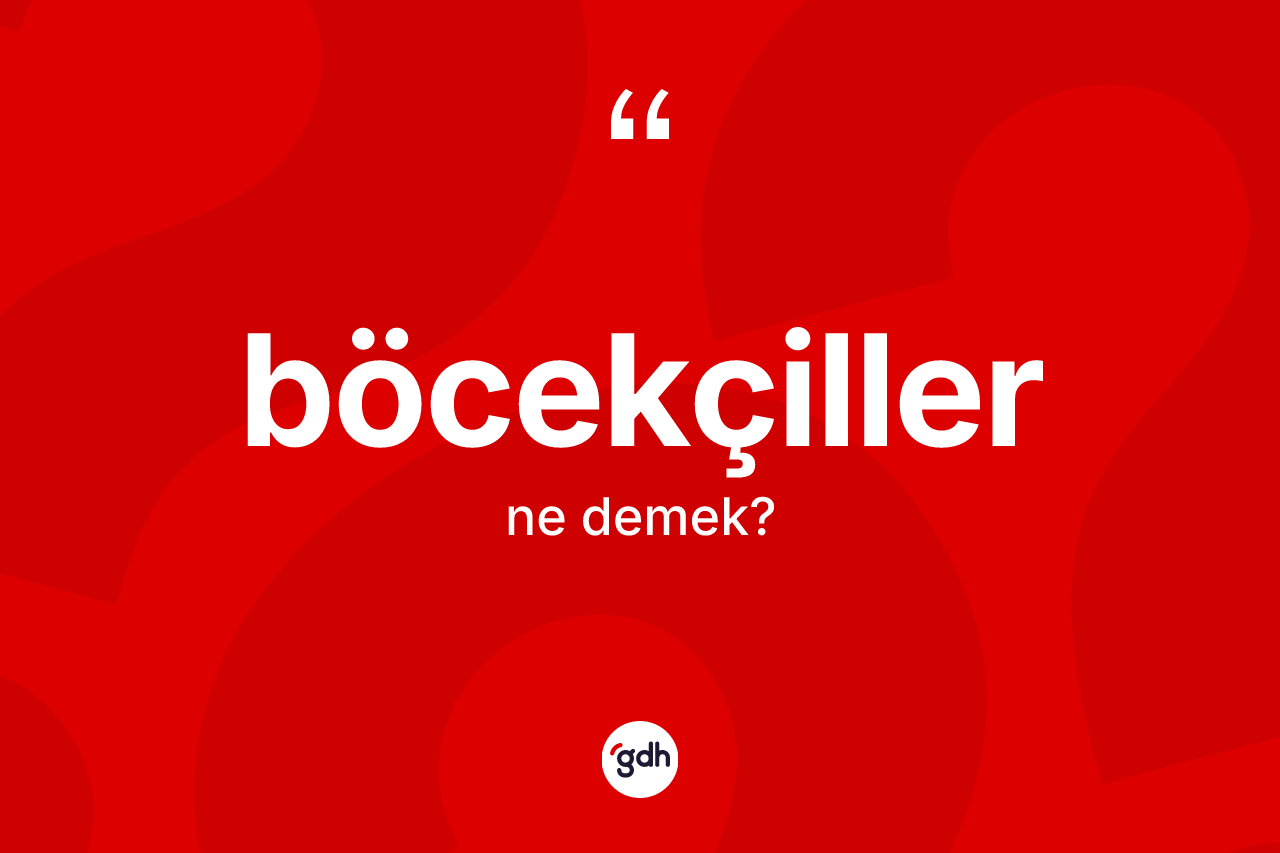 Böcekçiller kelimesinin sözlükteki tanımı nedir?