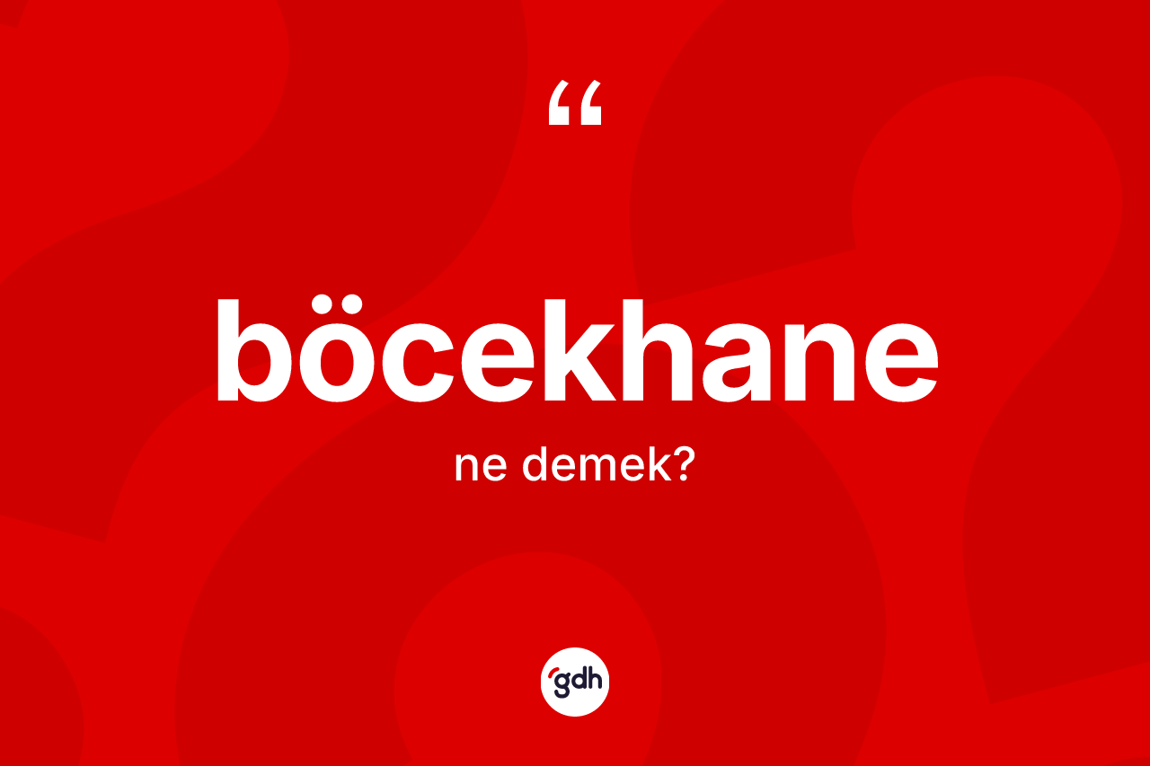Böcekhane ne anlama gelir? Böcekhane kelimesinin kaç farklı anlamı var?