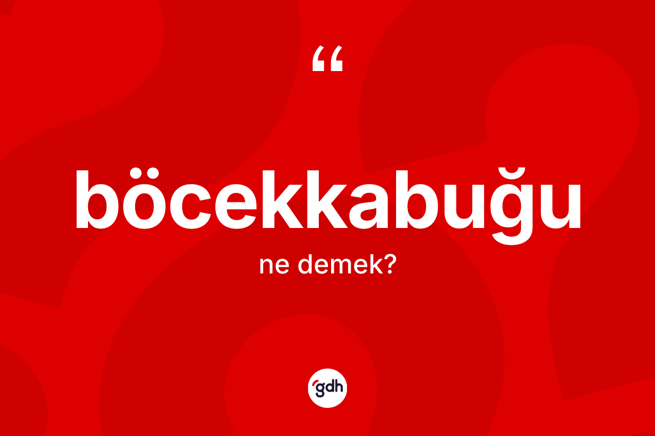 Böcekkabuğu kelimesi ne demek? Böcekkabuğunun kısaca tanımı nedir?