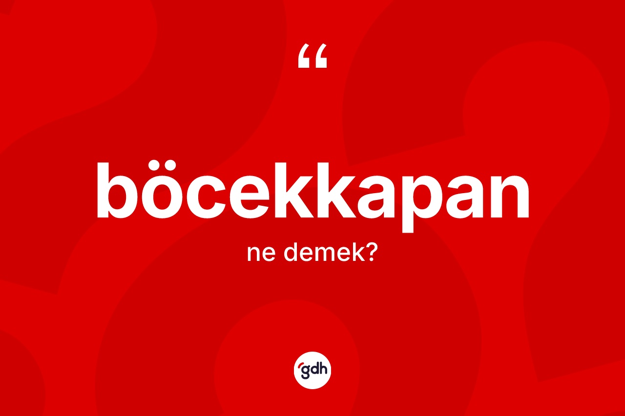Böcekkapan kelimesinin anlamı nedir?