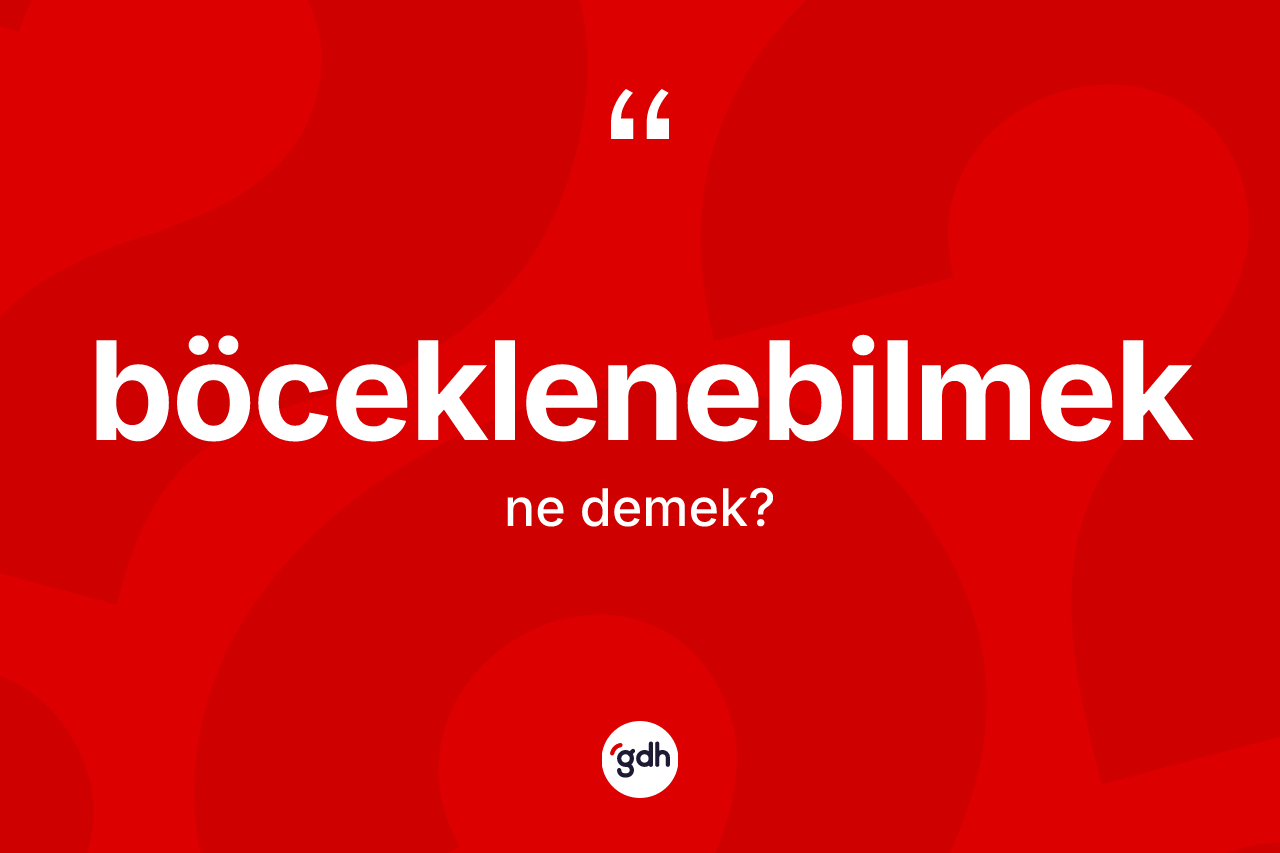 Böceklenebilmek kelimesinin anlamı nedir? Böceklenebilmeğin TDK'ya göre anlamı nedir?