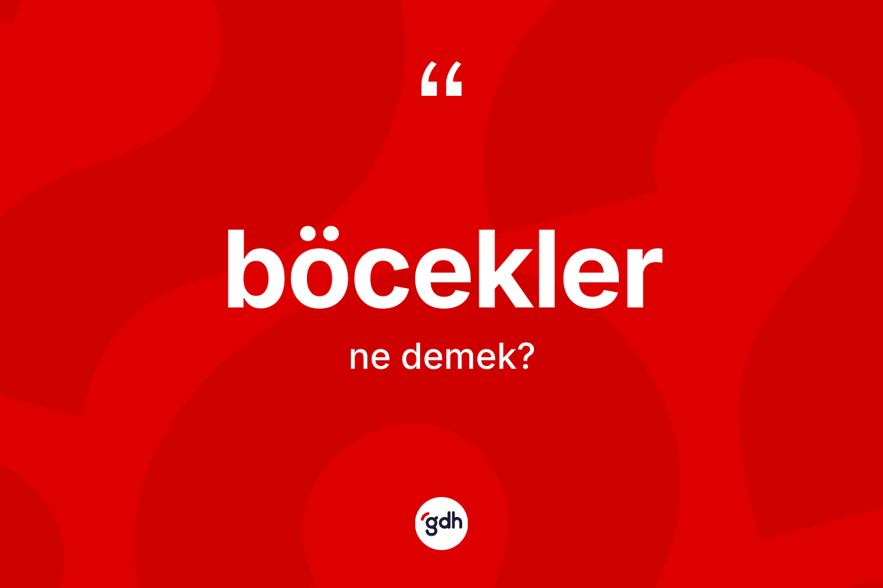 Böcekler kelimesi nedir?