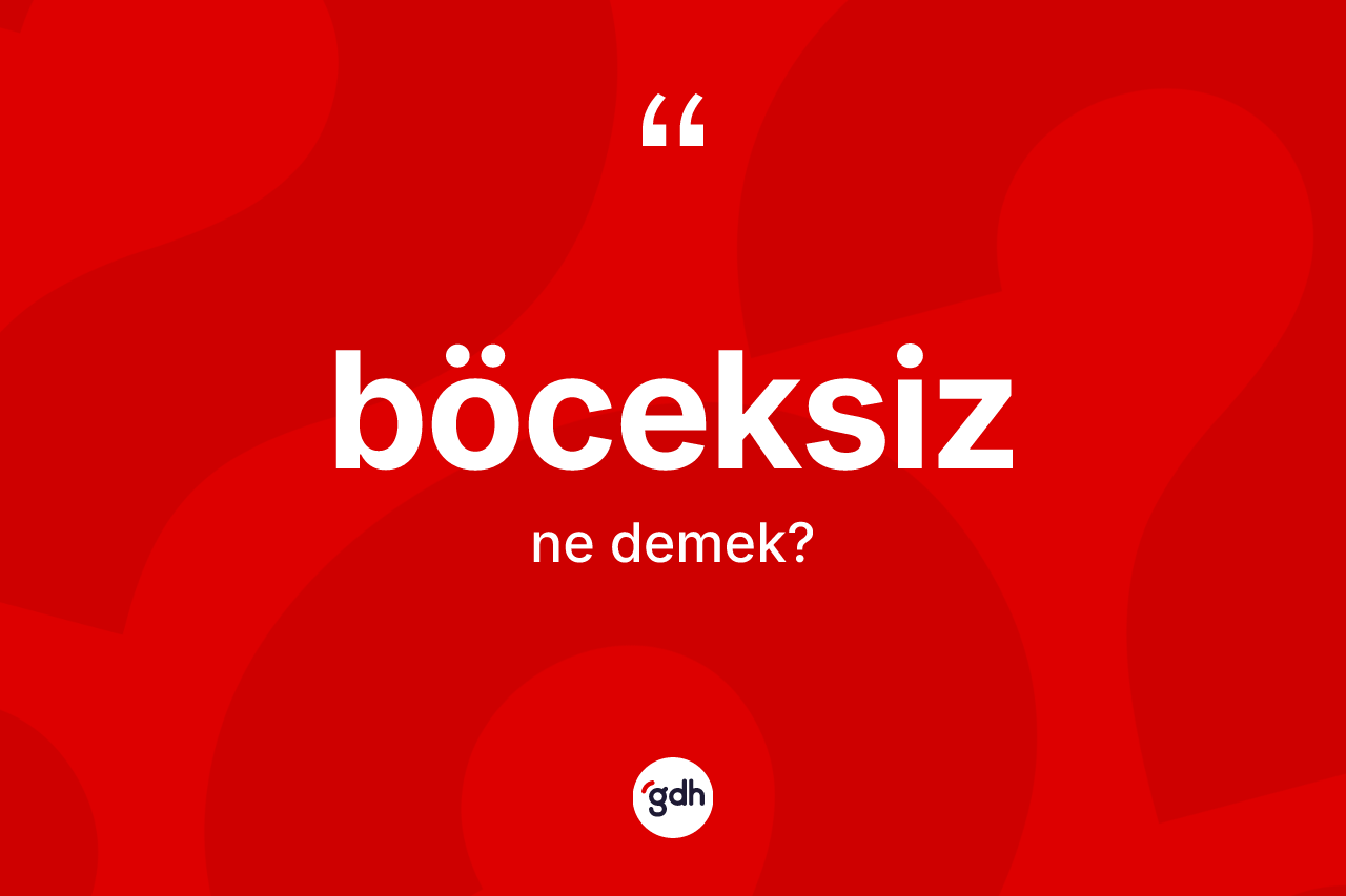 Böceksiz kelimesinin tanımı nedir? Böceksiz kelimesinin TDK'ya göre açıklaması nedir?