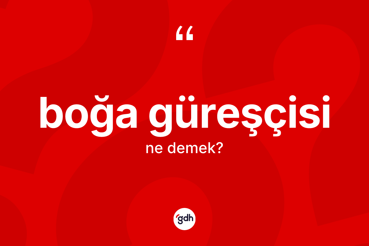 Boğa güreşçisi kelimesinin sözlükteki tanımı nedir? Boğa güreşçisi kelimesinin TDK'ya göre açıklaması nedir?