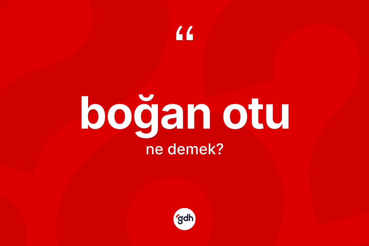Boğan otu kelimesinin tanımı nedir? Boğan otunun halk arasındaki kullanımı nasıldır?