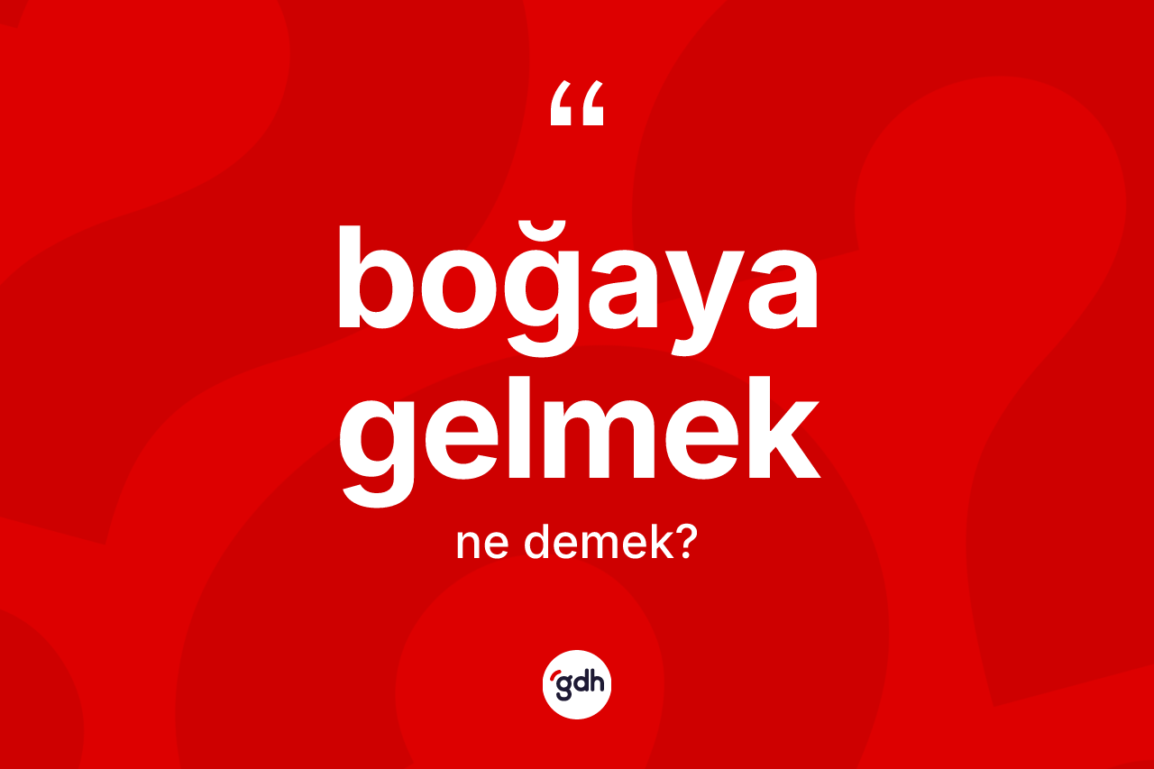 Boğaya gelmek nedir? Boğaya gelmek ifadesi hangi durumlarda kullanılır