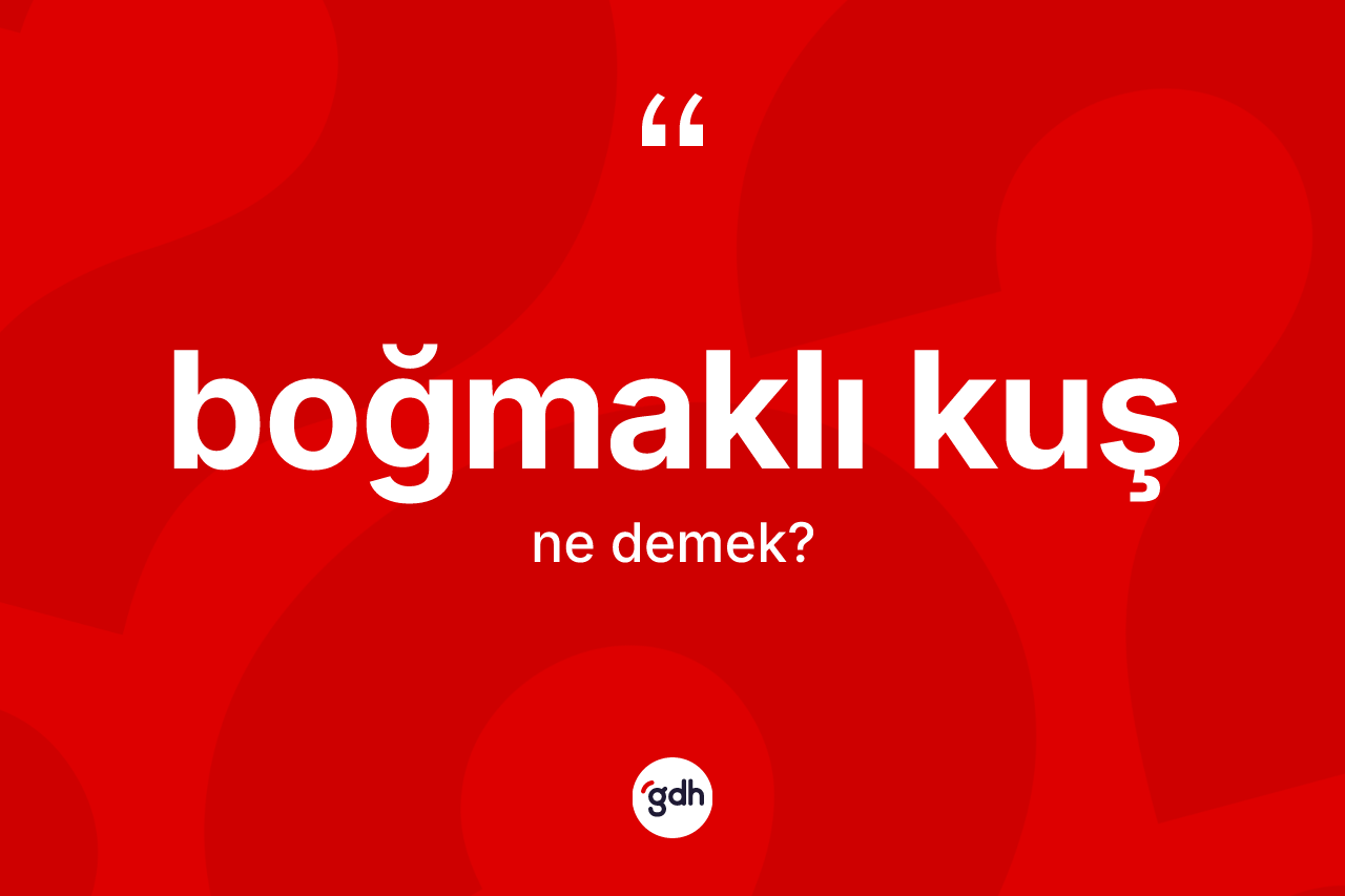 Boğmaklı kuş kelimesinin anlamı nedir? Boğmaklı kuşun sözlükteki anlamı nedir?