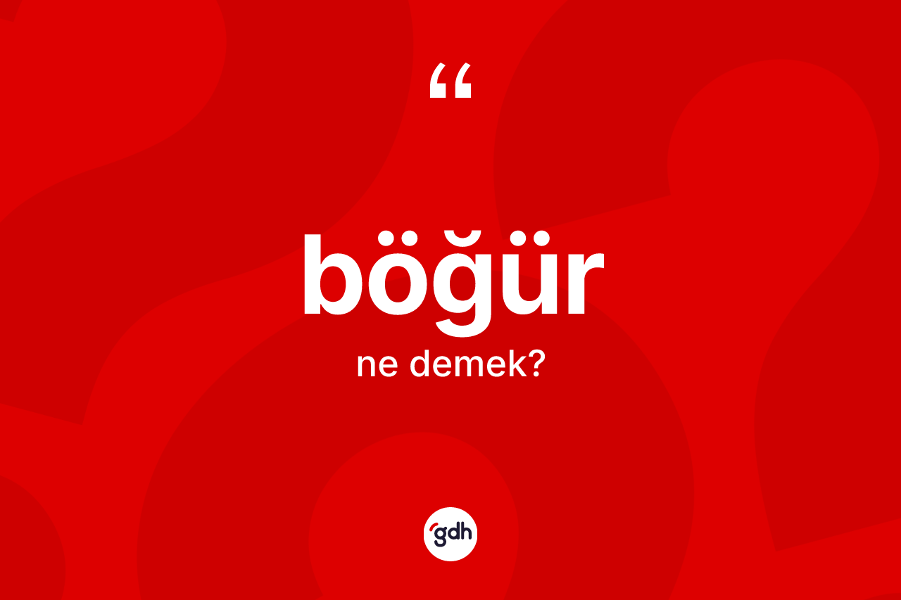 Böğür ne demek?