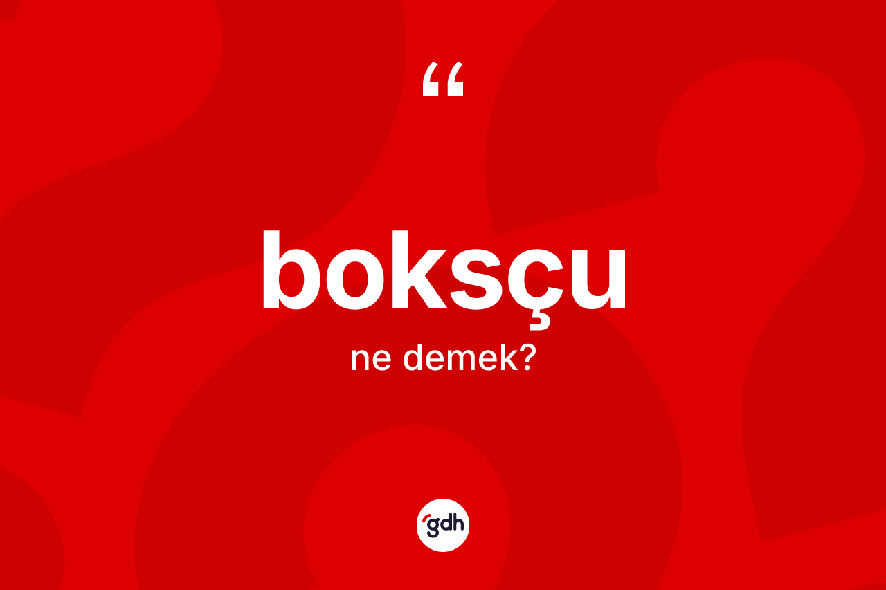 Boksçu kelimesinin sözlükteki tanımı nedir? Boksçunun halk arasındaki kullanımı nasıldır?