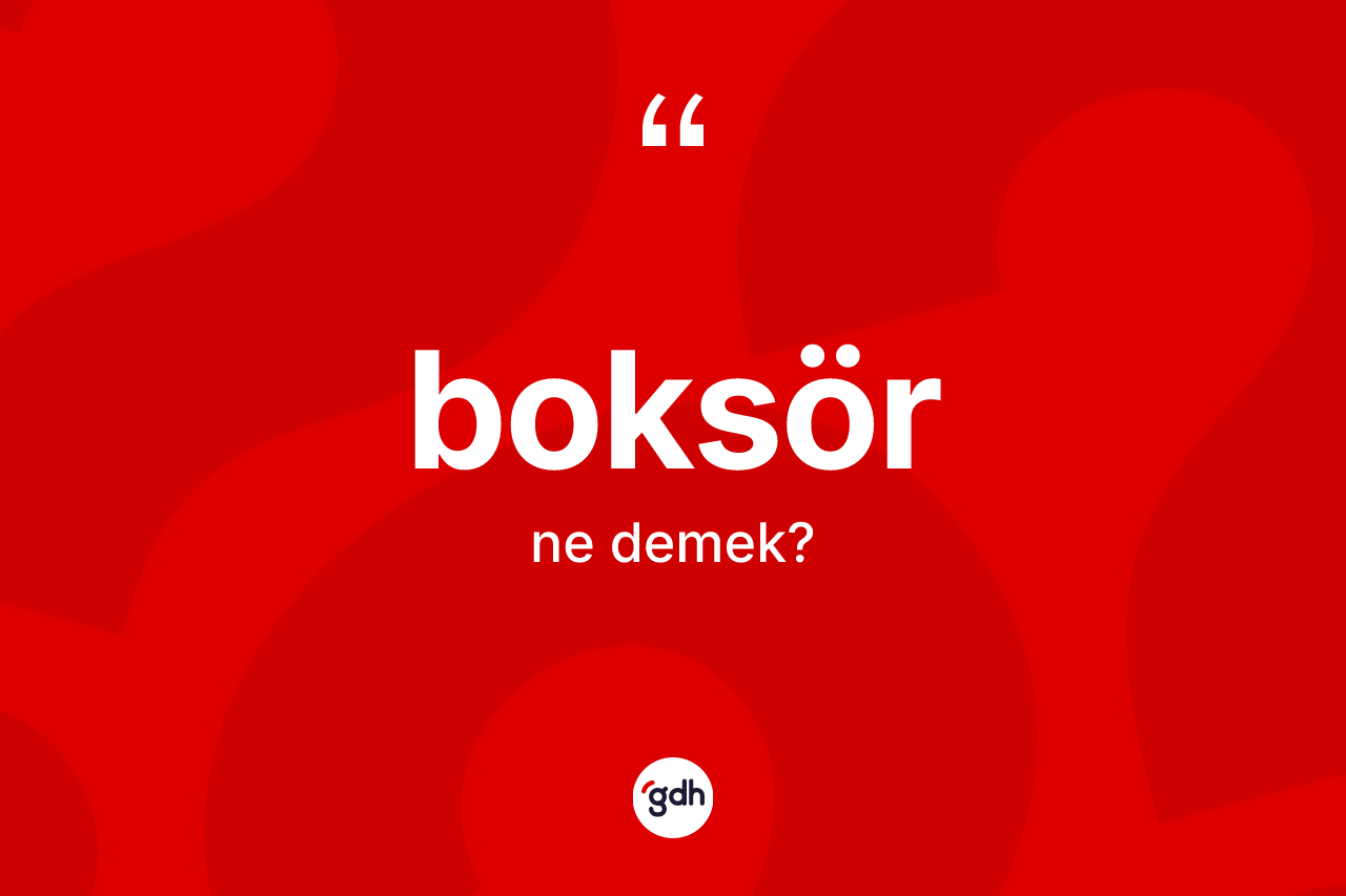 Boksör kelimesinin tanımı nedir?