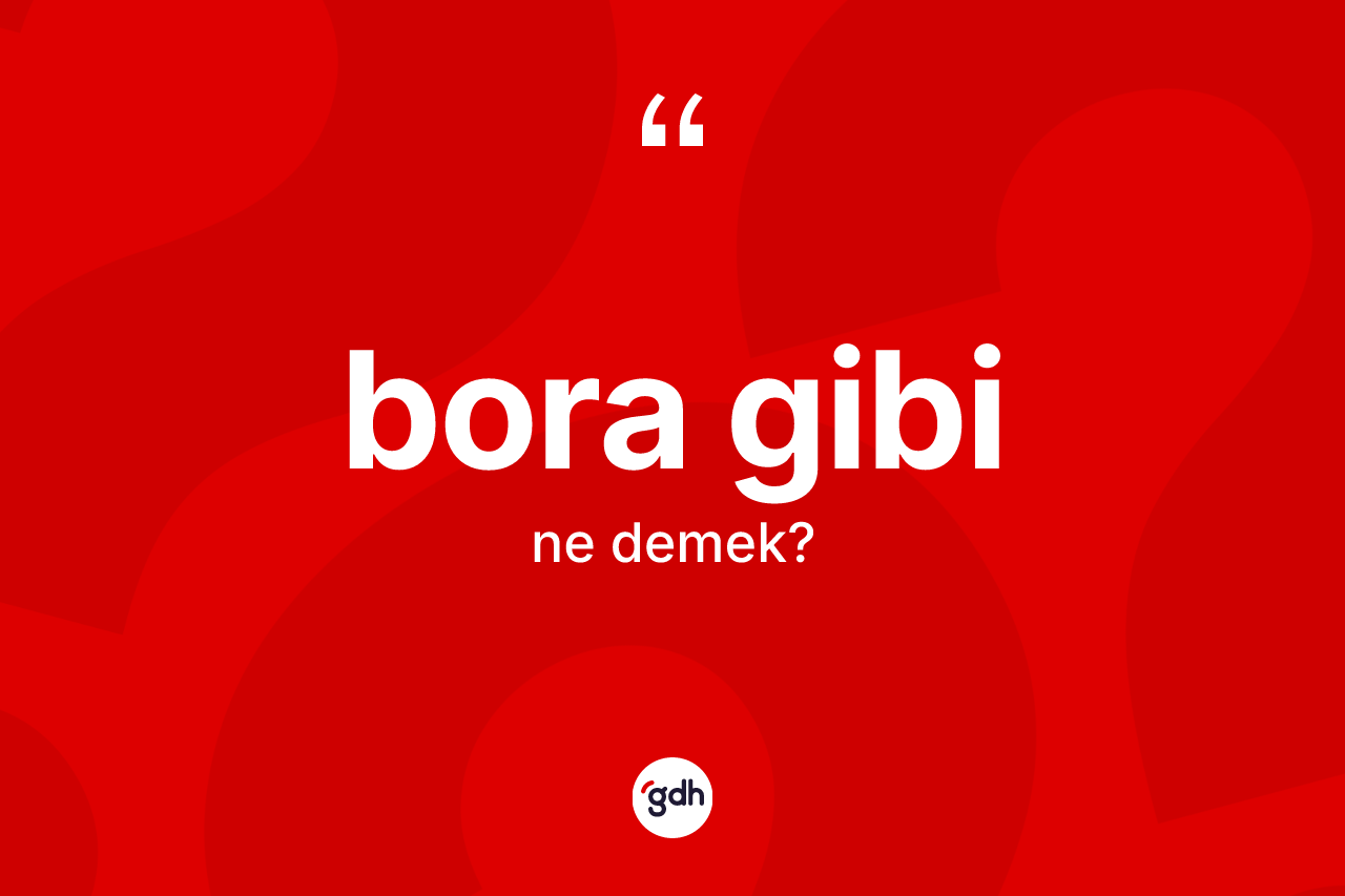 Bora gibi ifadesinin kısaca anlamı nedir? Bora gibi ifadesi hangi durumlarda kullanılır