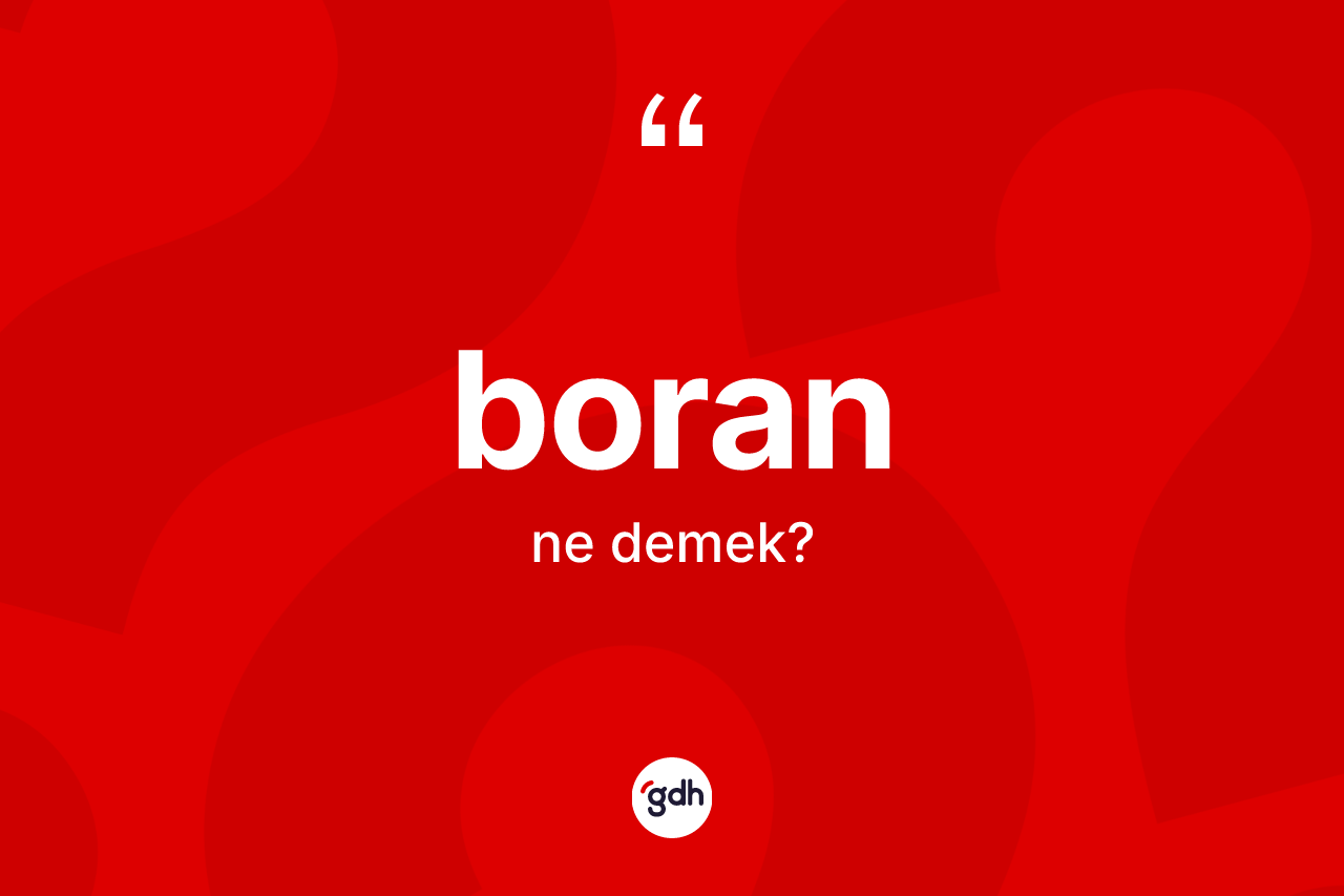 Boran ne demek? Boranın TDK'ya göre anlamı nedir?