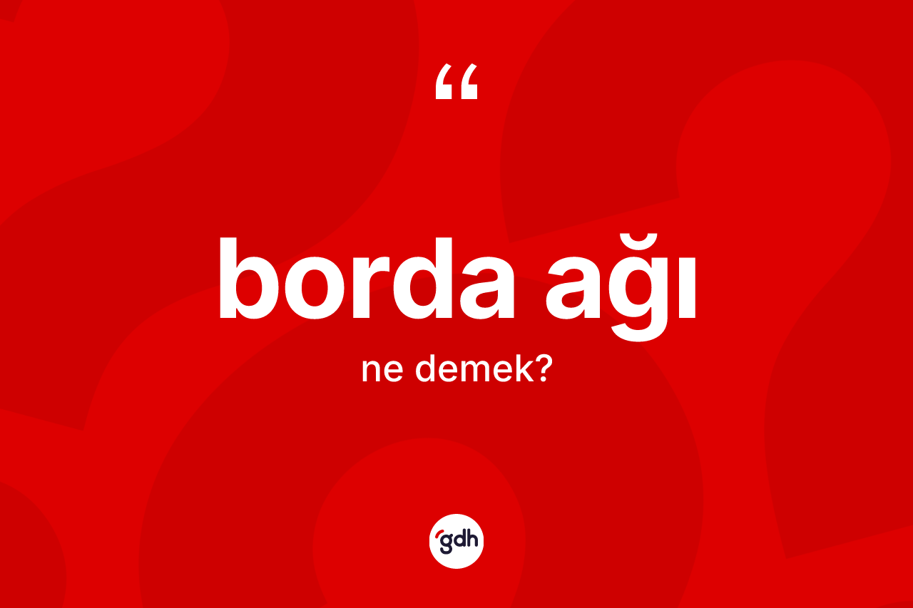 Borda ağı ne demek? Borda ağı kelimesinin TDK'ya göre açıklaması nedir?