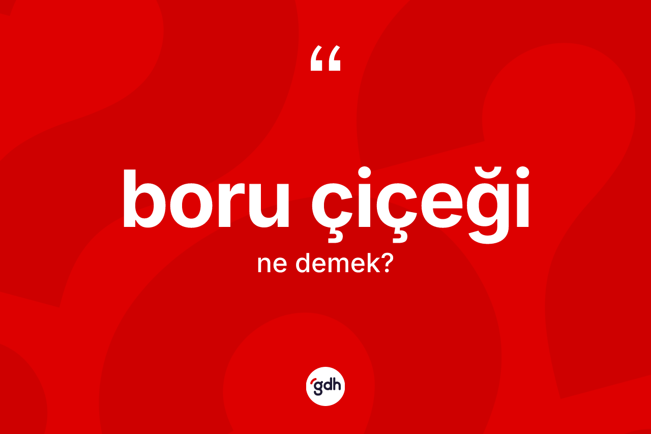 Boru çiçeği kelimesinin tanımı nedir?