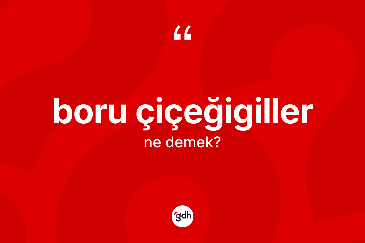 Boru çiçeğigiller kelimesinin sözlükteki tanımı nedir? Boru çiçeğigillerin TDK'ya göre anlamı nedir?