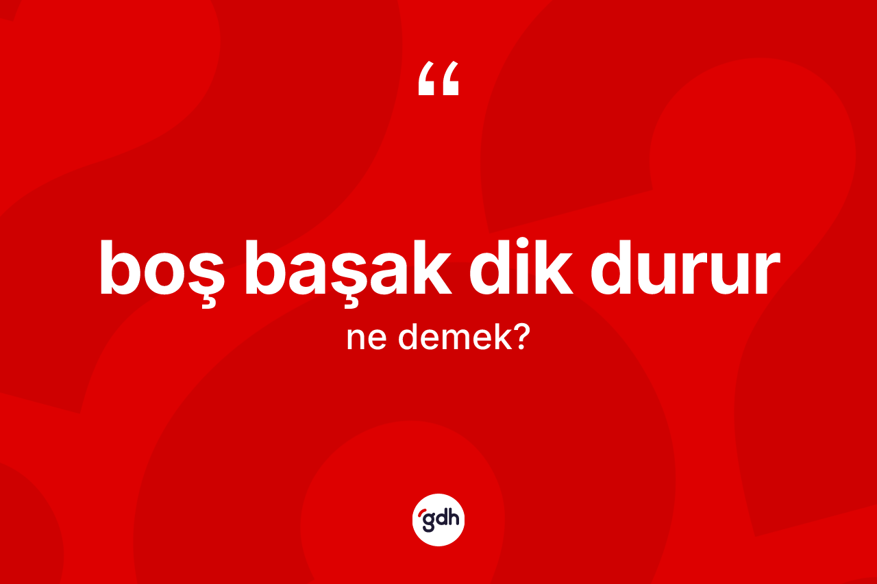 Boş başak dik durur ifadesi neyi anlatır? Boş başak dik durur ifadesinin özellikleri nelerdir?