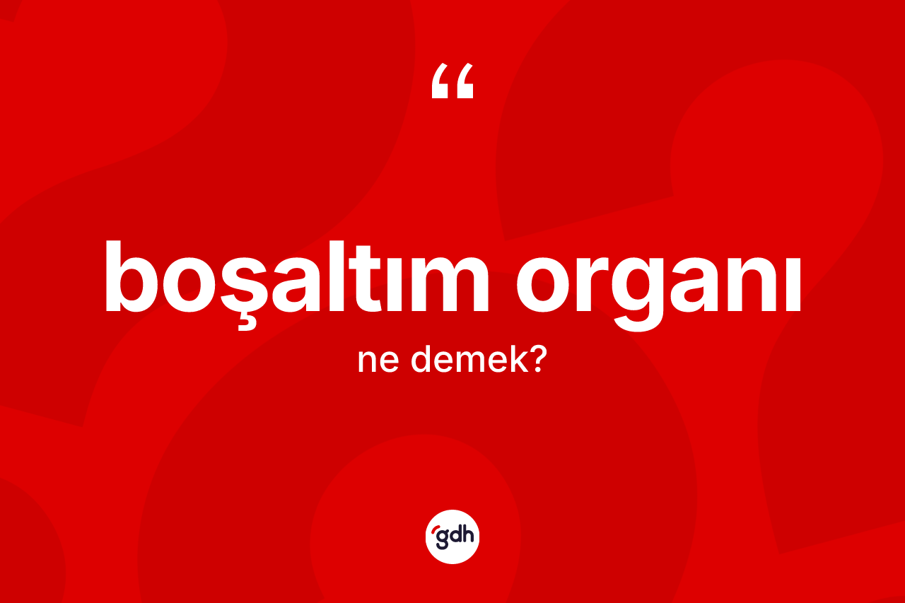 Boşaltım organı kelimesinin sözlükteki tanımı nedir? Boşaltım organının halk arasındaki kullanımı nasıldır?