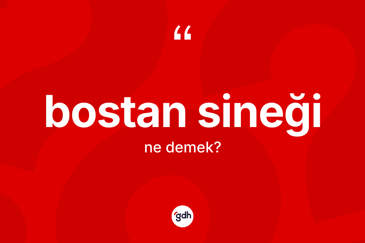 Bostan sineği kelimesinin tanımı nedir?
