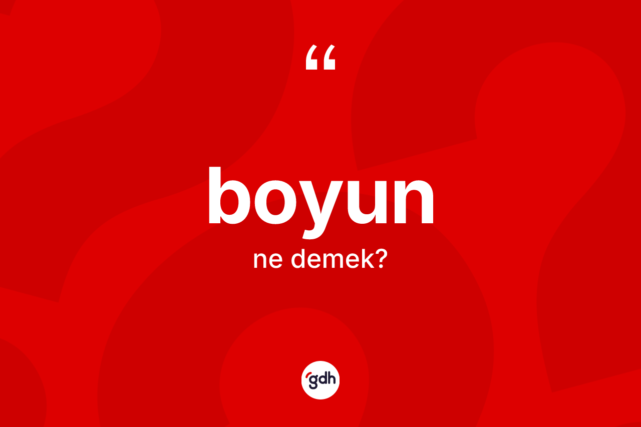 Boyun nedir?