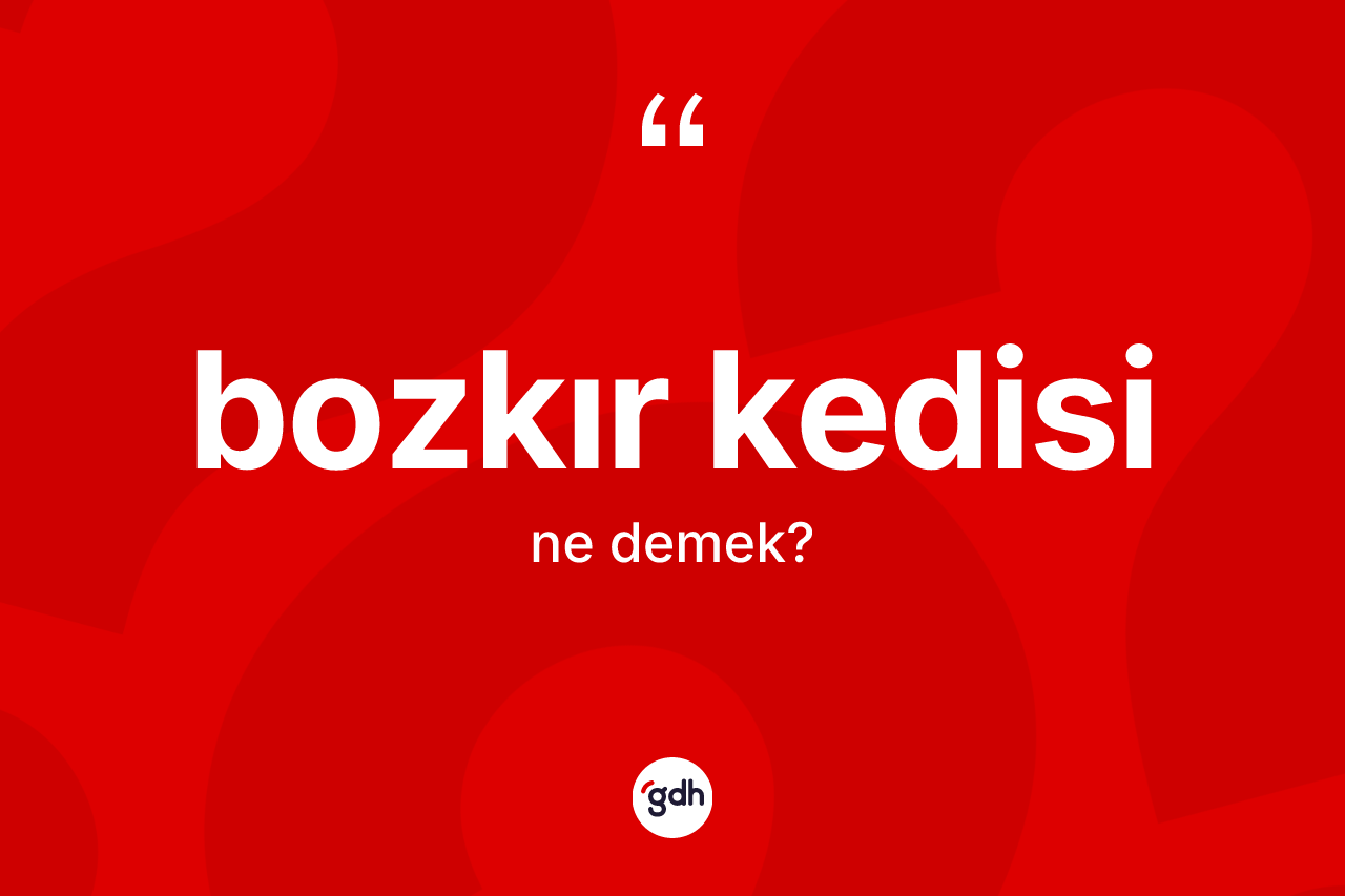 Bozkır kedisi kelimesi ne anlama gelir?