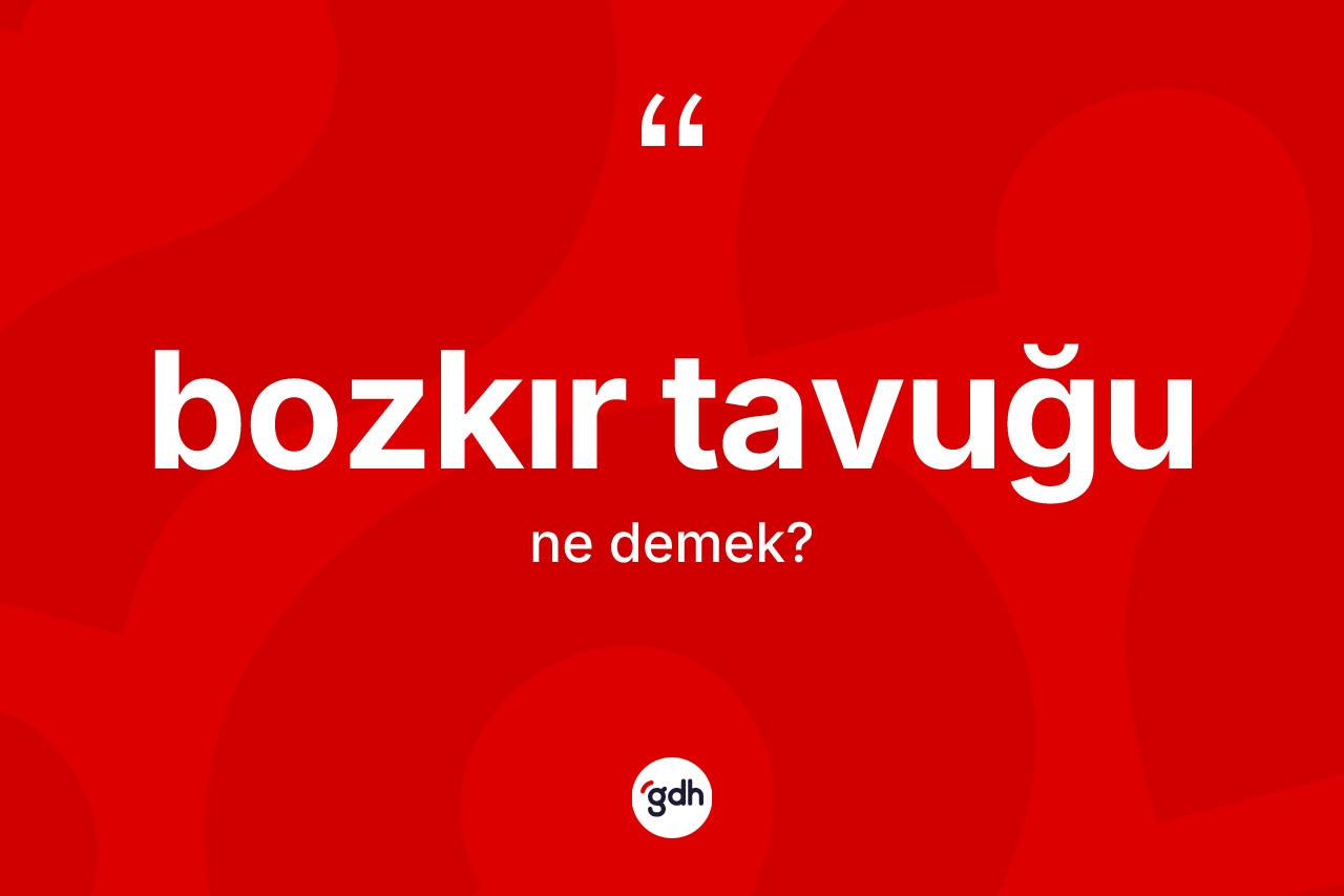 Bozkır tavuğu kelimesi ne demek? Bozkır tavuğunun halk arasındaki kullanımı nasıldır?