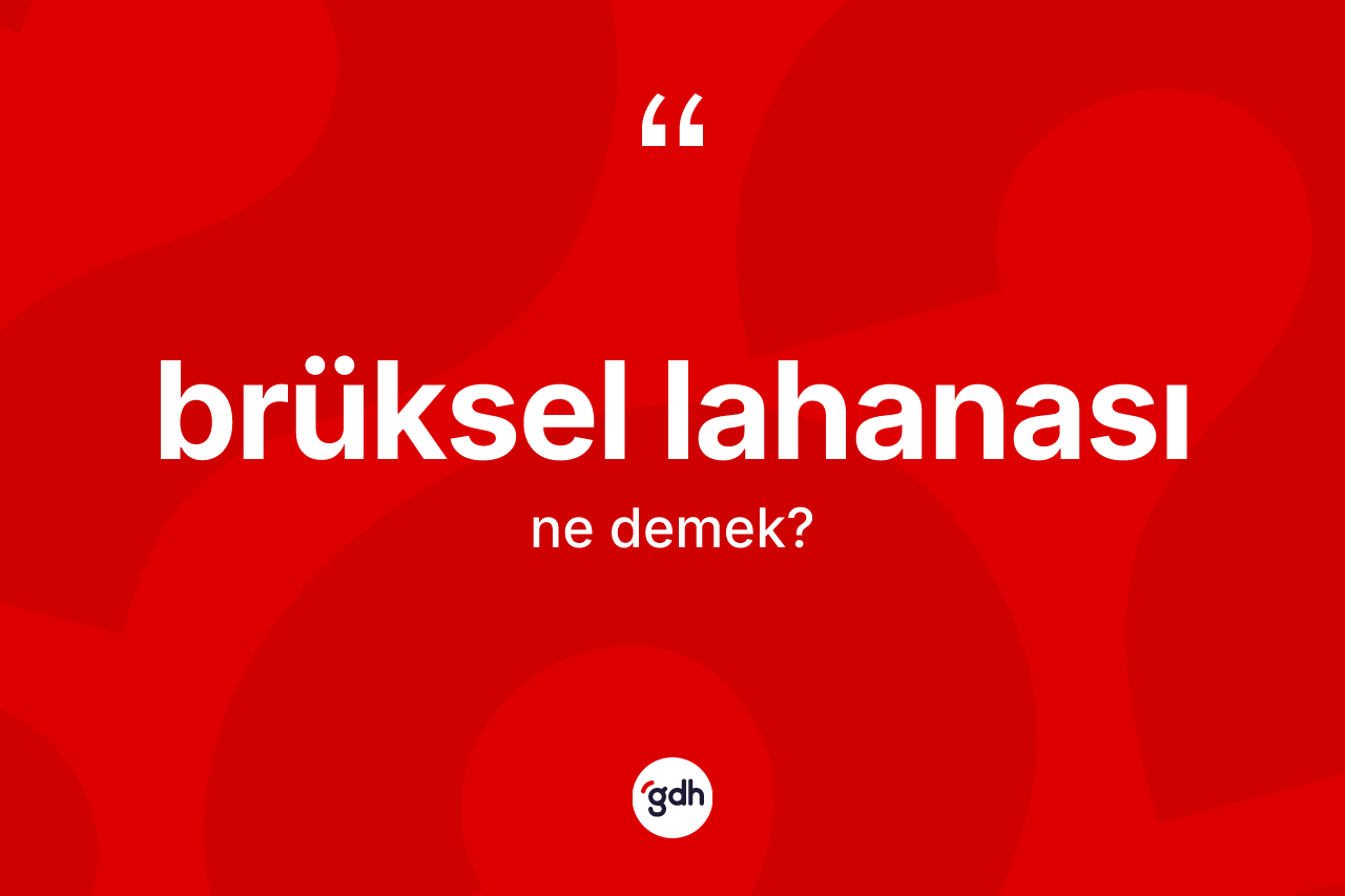 Brüksel lahanası nedir?