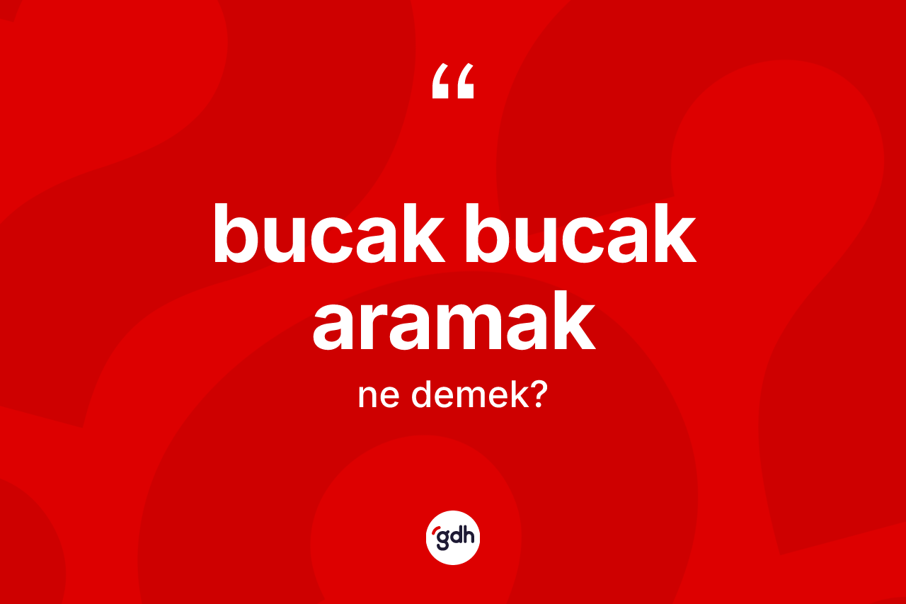 Bucak bucak aramak ifadesinin anlamı nedir?