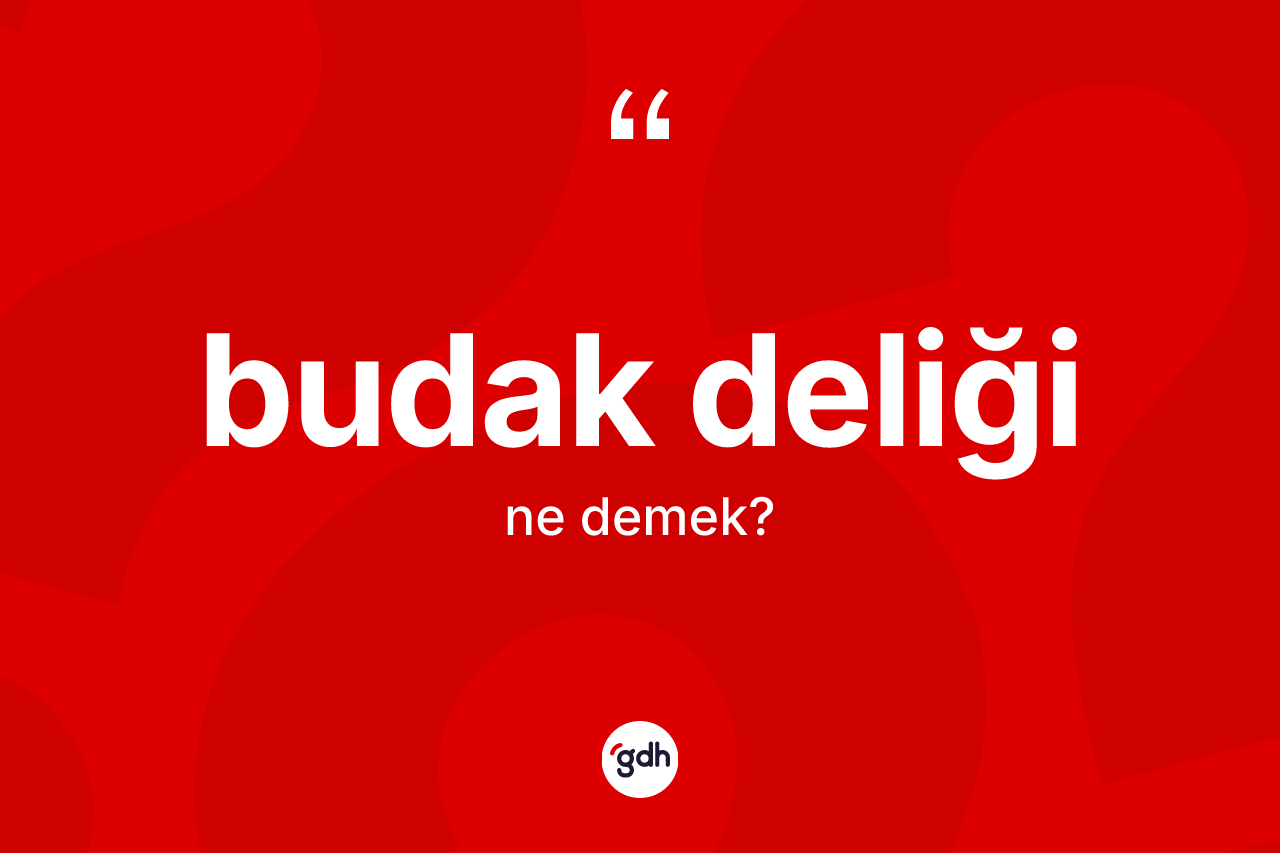 Budak deliği kelimesinin sözlükteki tanımı nedir?