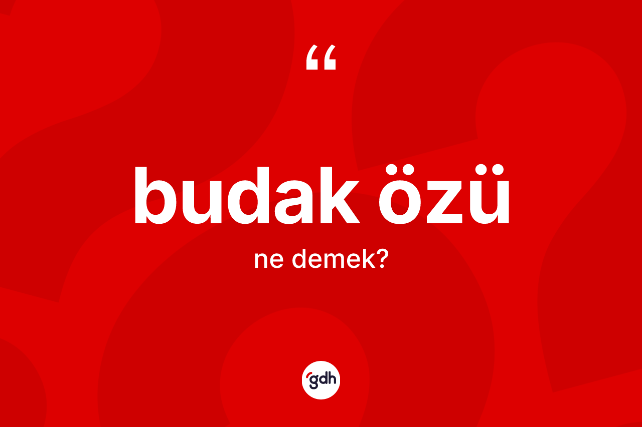 Budak özü kelimesinin anlamı nedir?