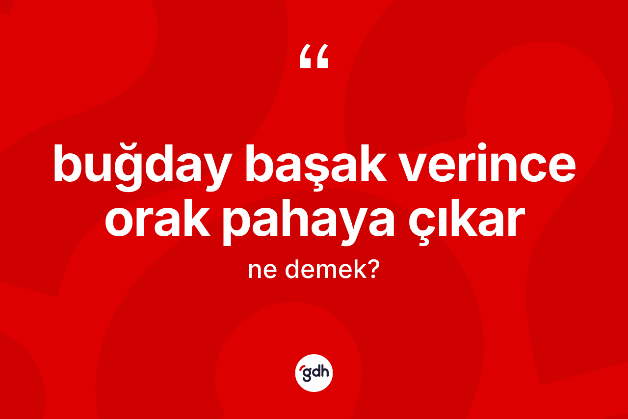 Buğday başak verince orak pahaya çıkar sözü nedir?